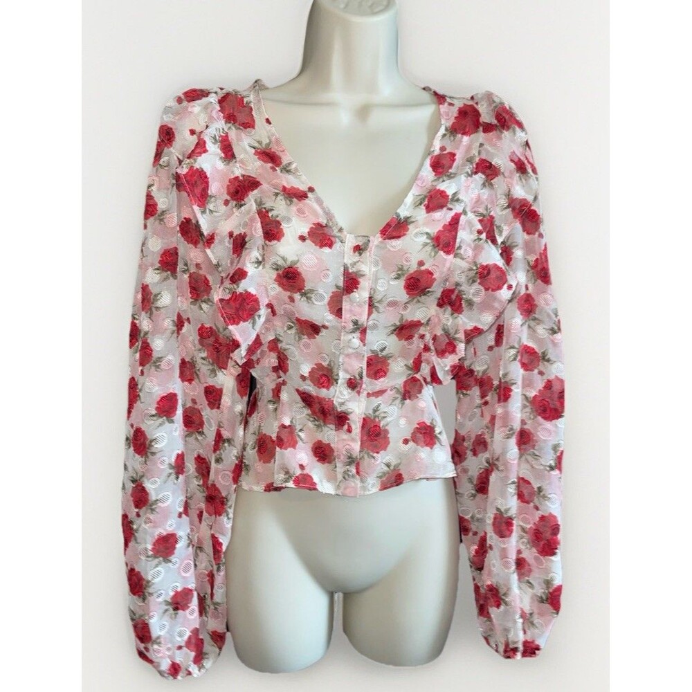 Nasty Gal Cottagecore Red Rose Peplum Top - Size 4 Sheer Puffy Sleeve Blouse